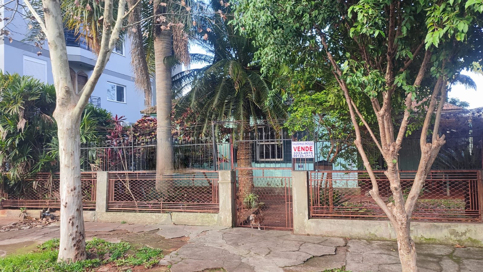 Terreno Centro