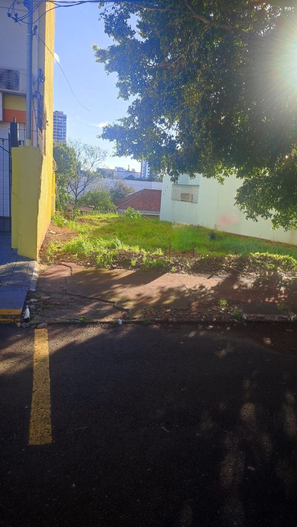 Terreno Centro 
