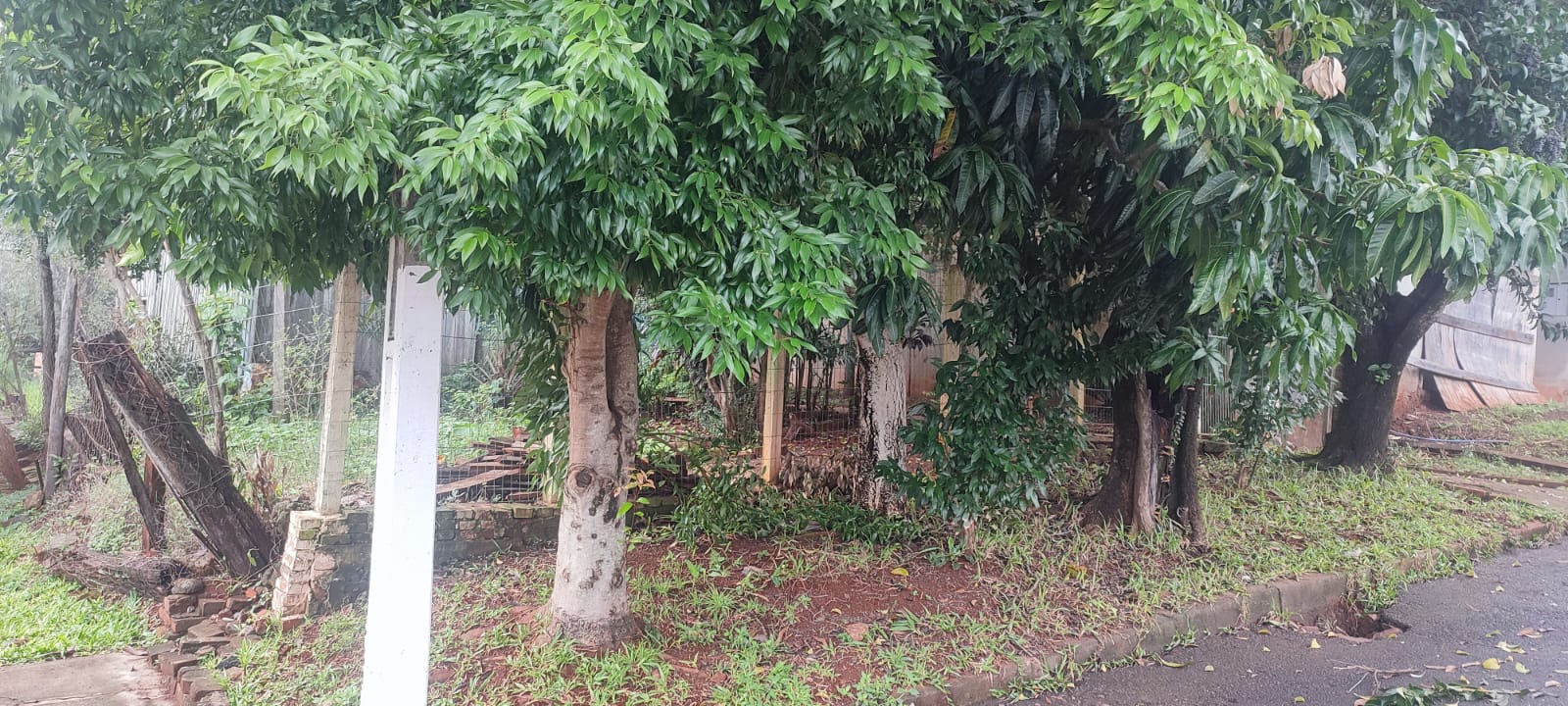 Terreno Bairro Elizabeth